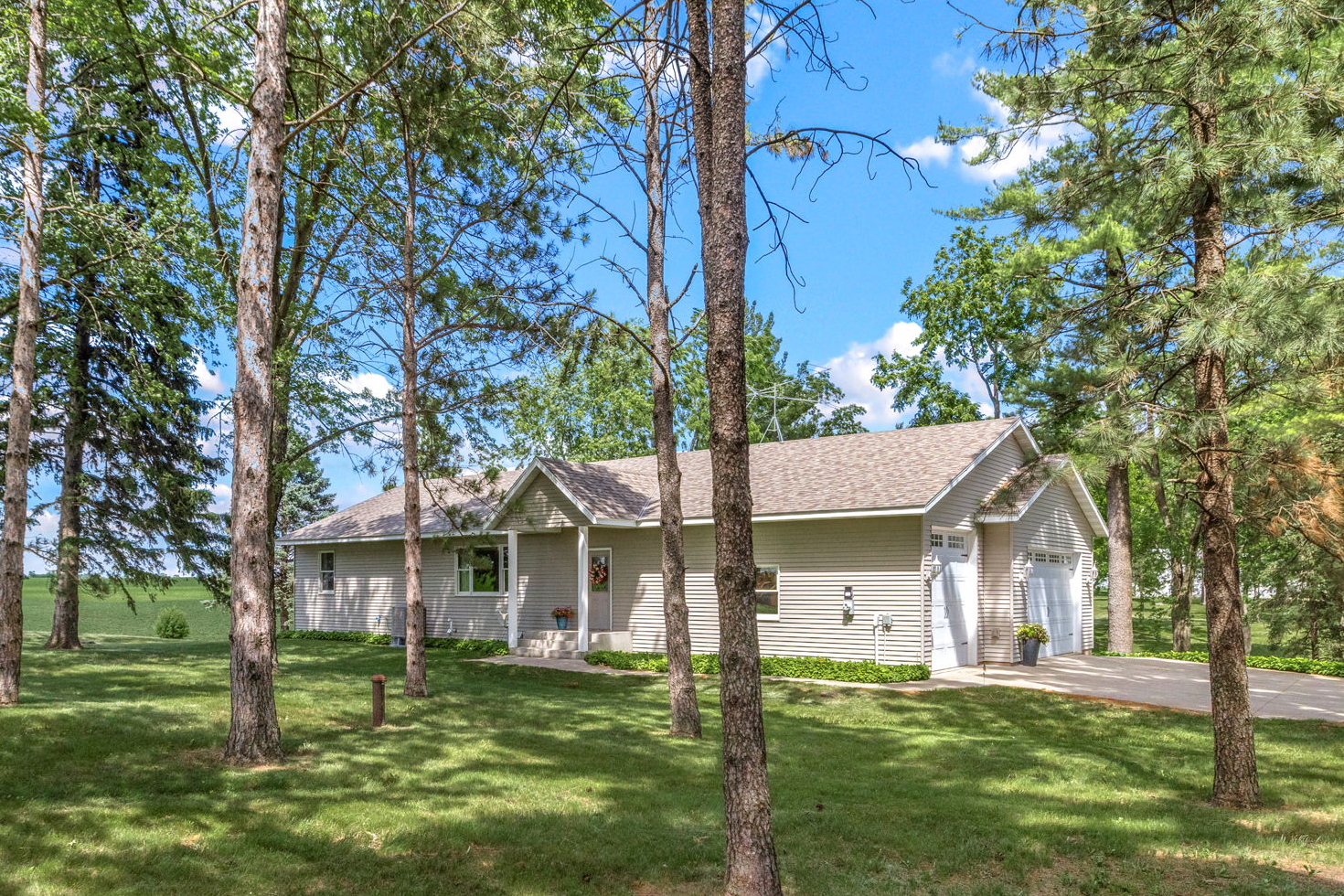 2591 290th Street East, Randolph — approach through mature pines